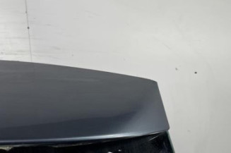 Malle/Hayon arriere CITROEN C4 GRAND PICASSO 1