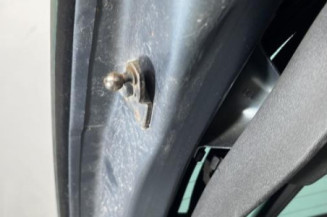 Malle/Hayon arriere CITROEN C4 GRAND PICASSO 1