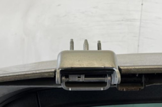 Malle/Hayon arriere CITROEN C4 GRAND PICASSO 1