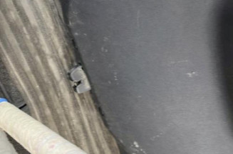 Malle/Hayon arriere CITROEN C4 GRAND PICASSO 1