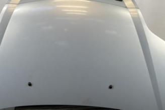 Capot RENAULT SCENIC 1 Photo n°1