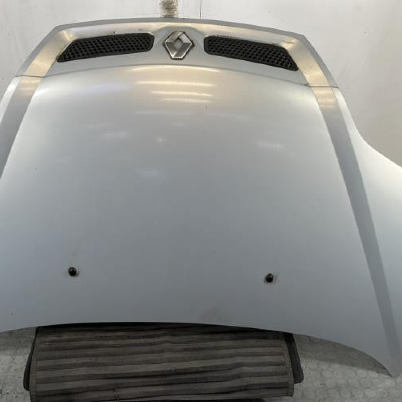 Capot RENAULT SCENIC 1 Photo n°1