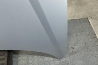 Capot RENAULT SCENIC 1