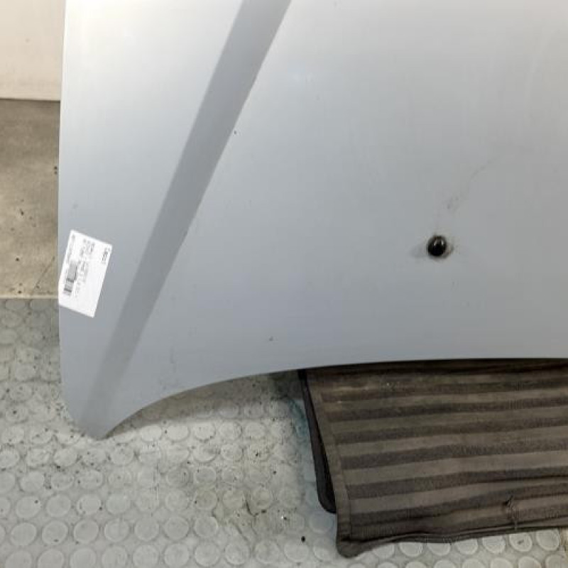 Capot RENAULT SCENIC 1 Photo n°5