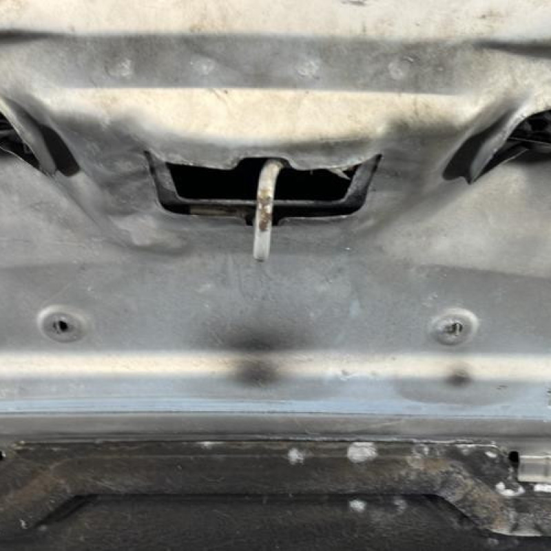 Capot RENAULT SCENIC 1 Photo n°6