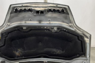 Capot RENAULT SCENIC 1
