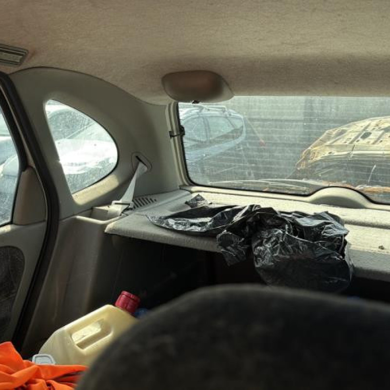Capot RENAULT SCENIC 1 Photo n°19