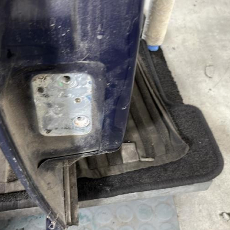 Porte arriere droit VOLKSWAGEN GOLF 4 Photo n°4