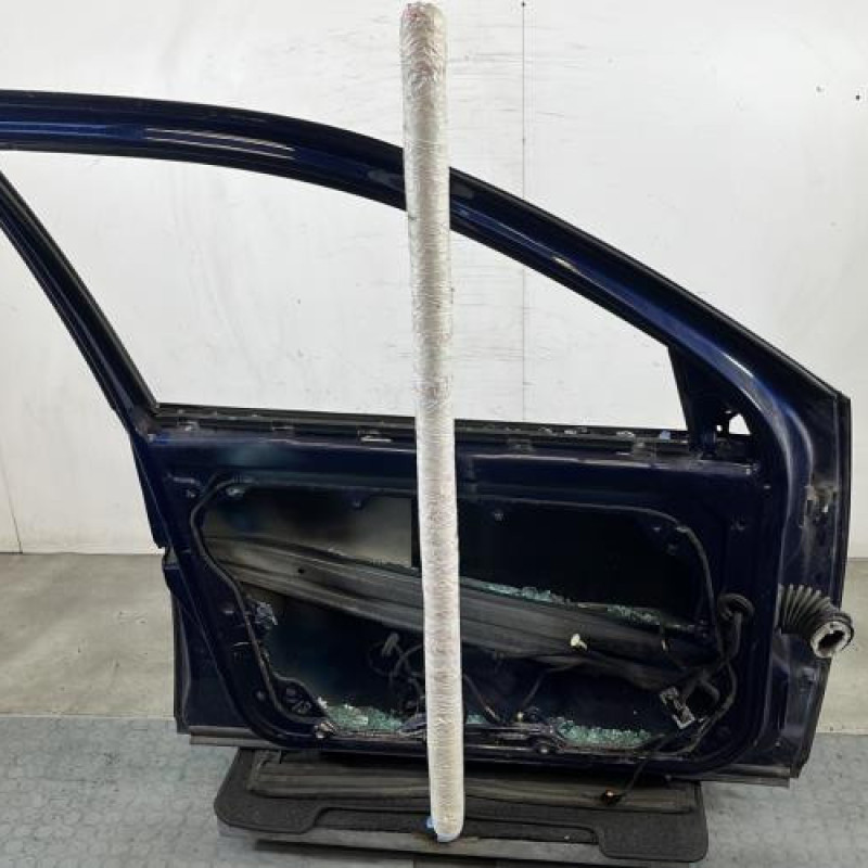 Porte avant gauche VOLKSWAGEN GOLF 4 Photo n°5