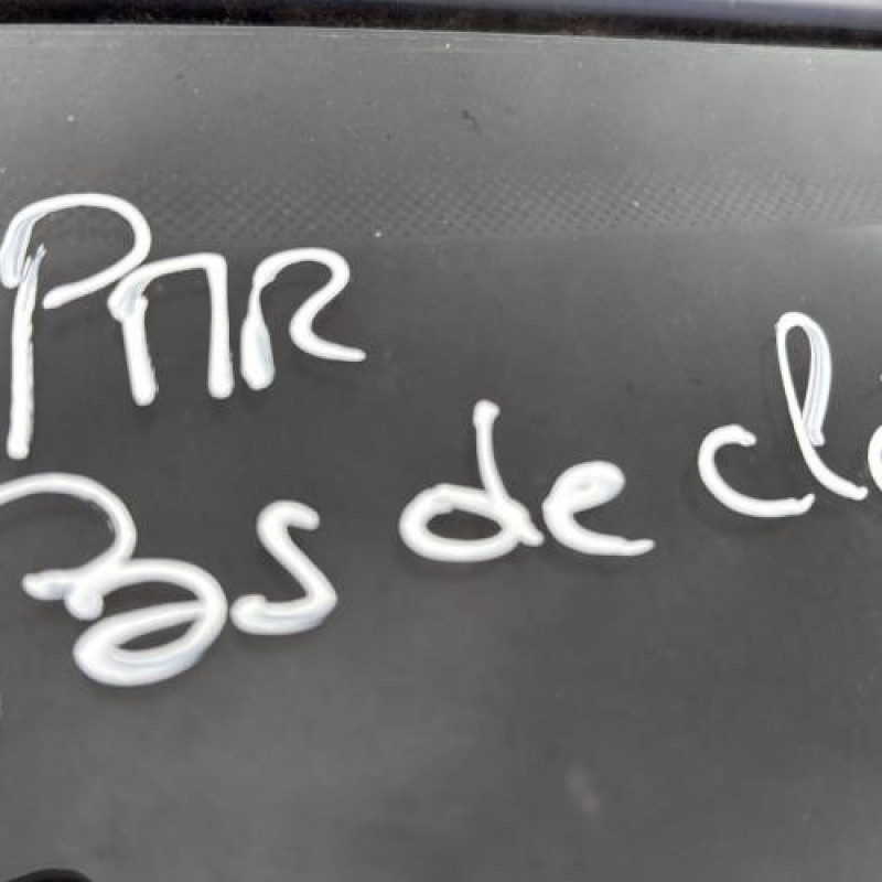 Porte avant gauche VOLKSWAGEN GOLF 4 Photo n°14