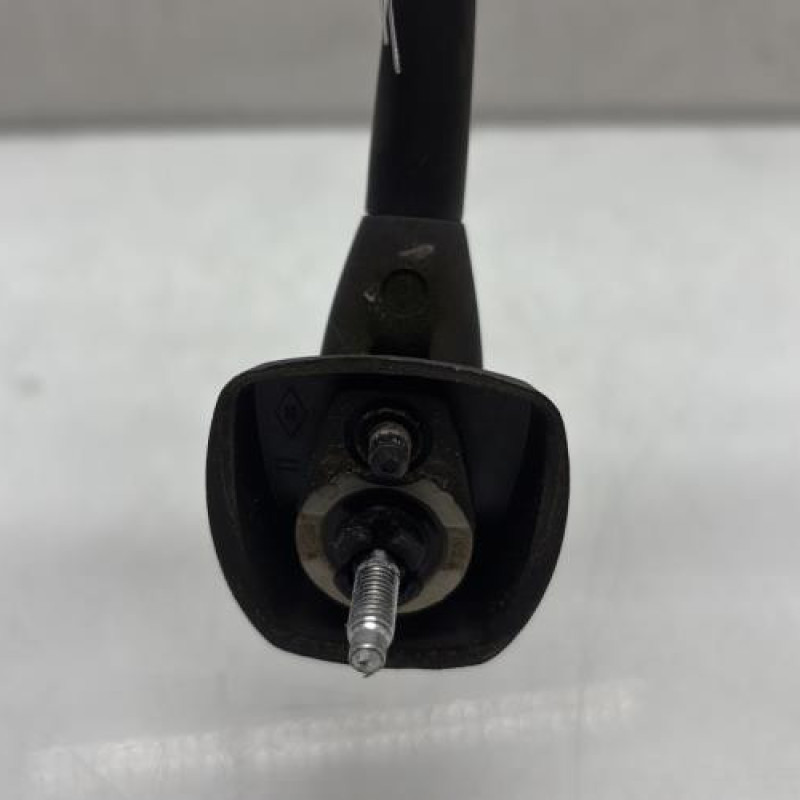 Antenne DACIA DUSTER 1 Photo n°2