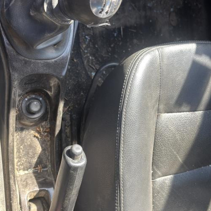 Antenne DACIA DUSTER 1 Photo n°19