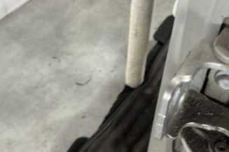 Porte arriere gauche PEUGEOT 207