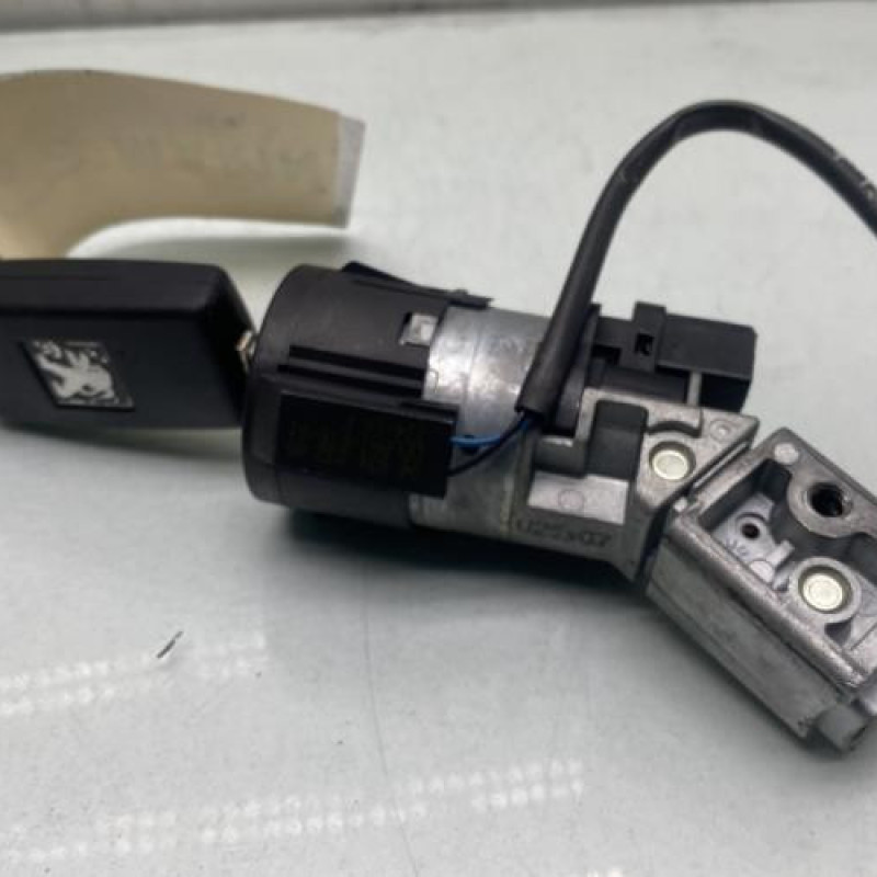 Neiman PEUGEOT 207 Photo n°4