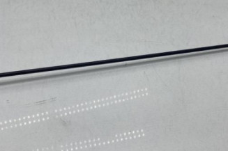 Antenne DACIA DUSTER 1