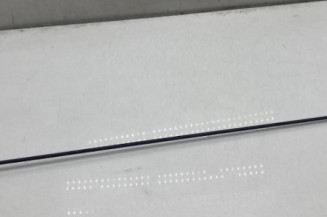 Antenne DACIA DUSTER 1