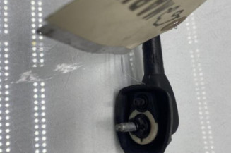 Antenne DACIA DUSTER 1