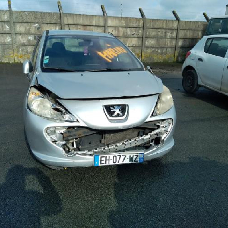Porte avant droit PEUGEOT 207 Photo n°7