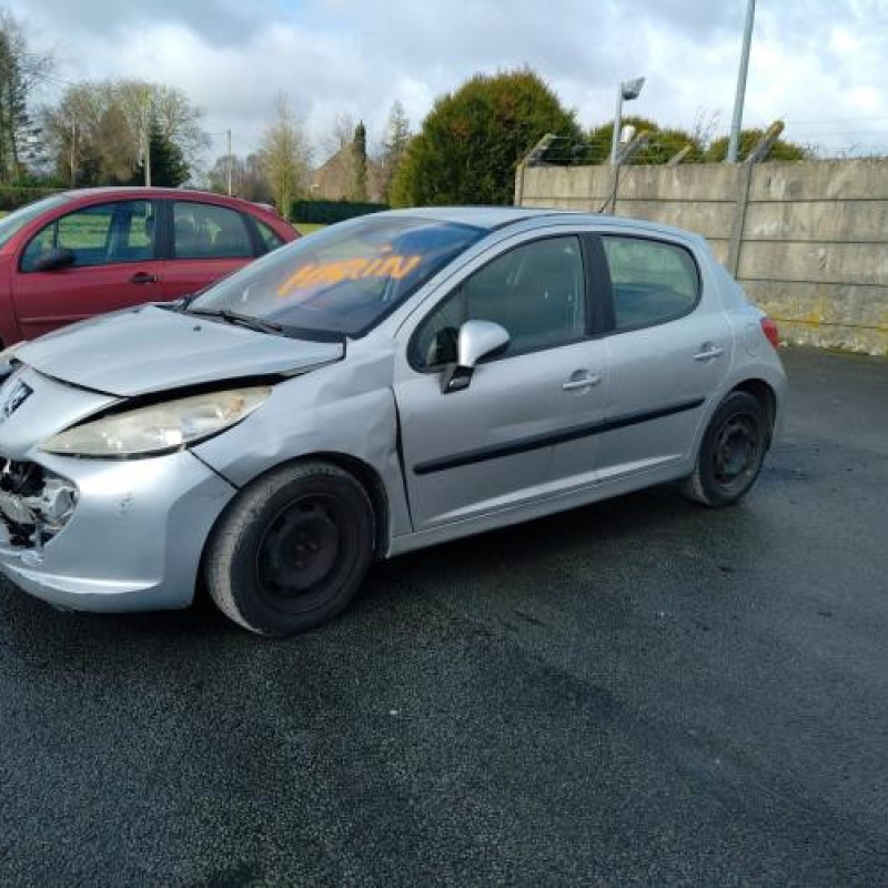 Porte avant droit PEUGEOT 207 Photo n°9