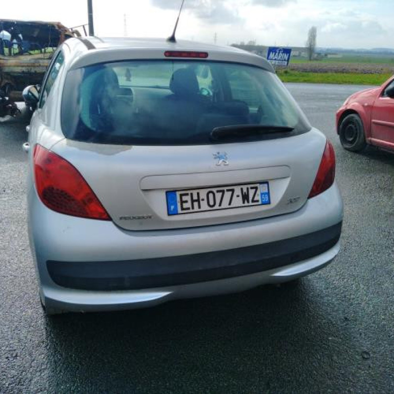 Porte avant droit PEUGEOT 207 Photo n°10