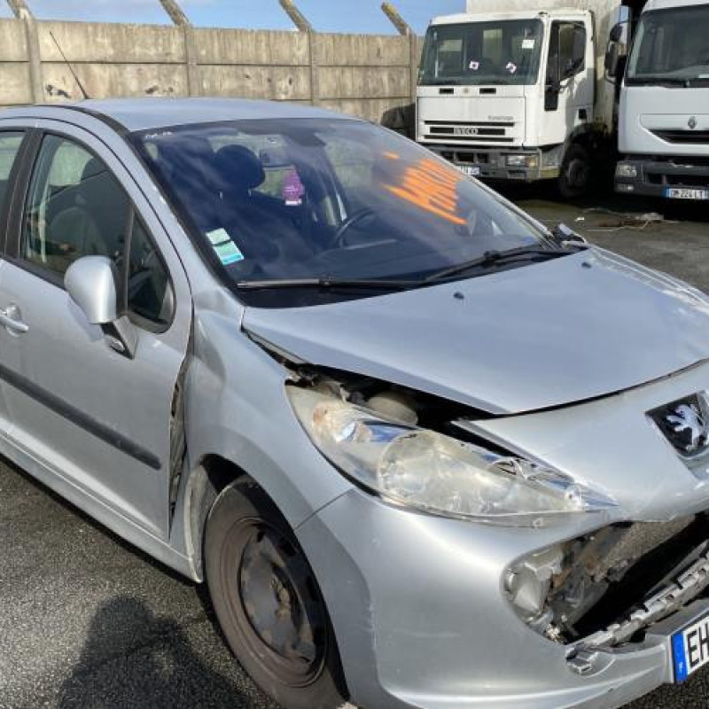Porte avant droit PEUGEOT 207 Photo n°18