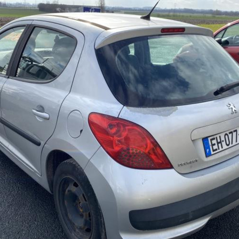 Porte avant droit PEUGEOT 207 Photo n°20
