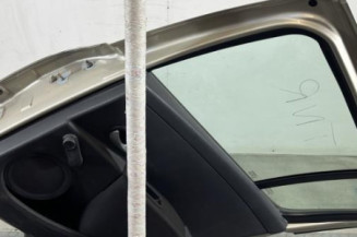 Porte arriere droit RENAULT CLIO 3