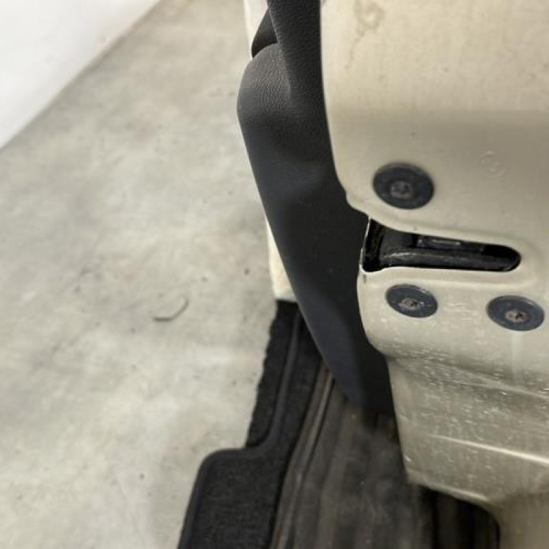 Porte avant droit RENAULT CLIO 3 Photo n°3