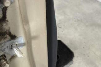 Porte avant droit RENAULT CLIO 3