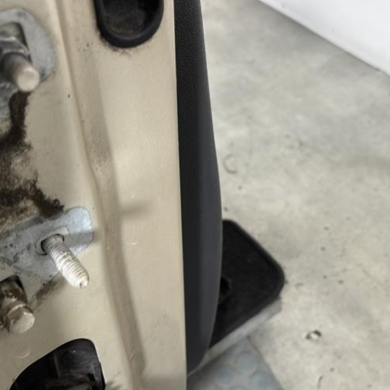 Porte avant droit RENAULT CLIO 3 Photo n°4