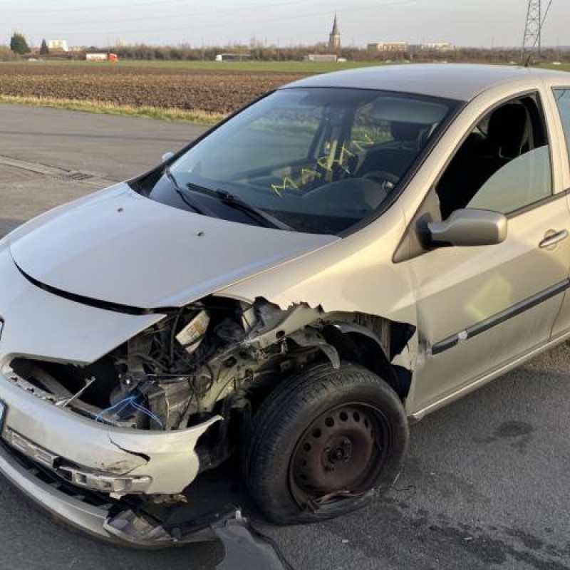 Porte avant droit RENAULT CLIO 3 Photo n°7