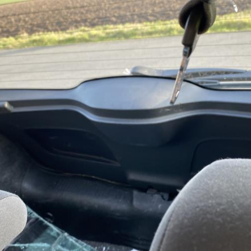 Porte avant droit RENAULT CLIO 3 Photo n°19
