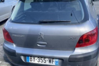 Aile avant gauche PEUGEOT 307