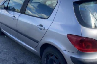 Aile avant gauche PEUGEOT 307