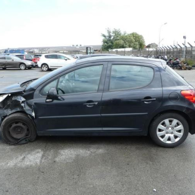 Neiman PEUGEOT 207 Photo n°10