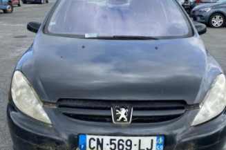 Aile avant gauche PEUGEOT 307