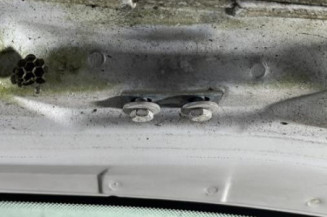 Malle/Hayon arriere CITROEN XSARA PICASSO