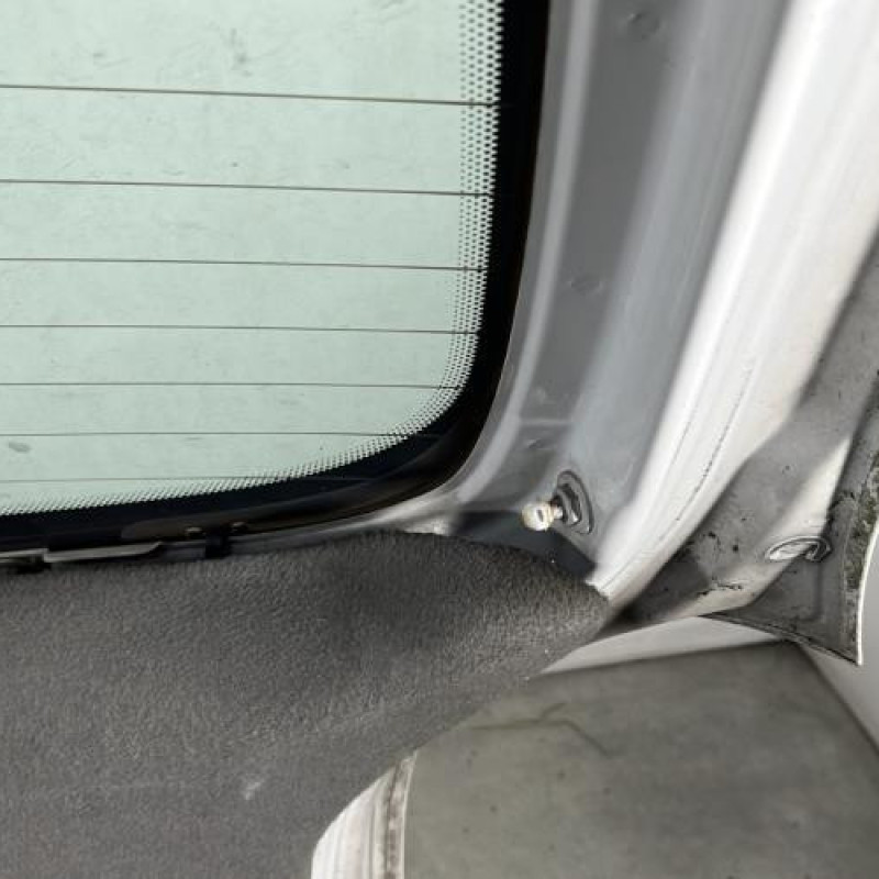 Malle/Hayon arriere CITROEN XSARA PICASSO Photo n°10
