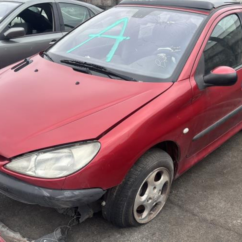 Porte avant gauche PEUGEOT 206 Photo n°7