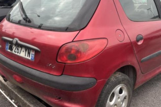 Porte avant gauche PEUGEOT 206