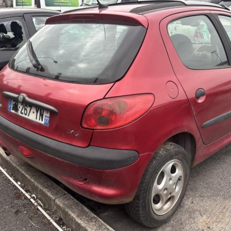 Porte avant gauche PEUGEOT 206 Photo n°9