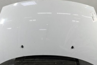 Capot CITROEN C3 1 Photo n°1