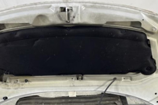 Capot CITROEN C3 1