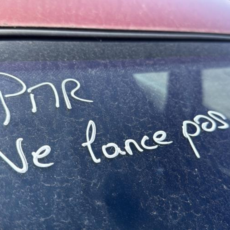 Pedale d'accelerateur CITROEN C3 1 Photo n°13