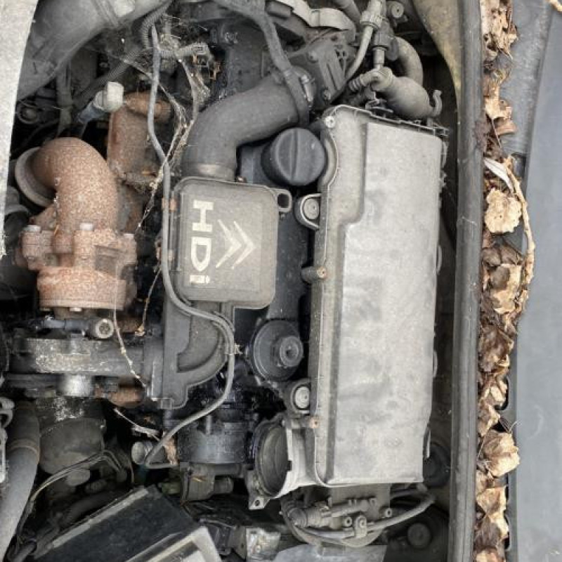 Baguette de porte arriere gauche  CITROEN C3 1 Photo n°11