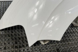 Aile avant gauche CITROEN C3 1