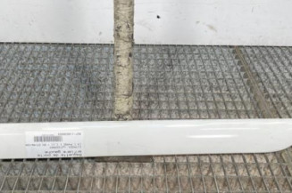 Baguette de porte arriere gauche  CITROEN C3 1 Photo n°1