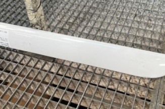 Baguette de porte arriere gauche  CITROEN C3 1