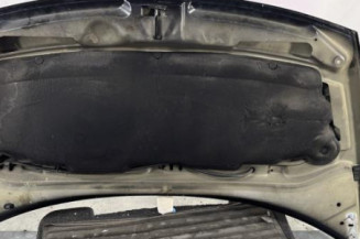 Capot CITROEN C3 1
