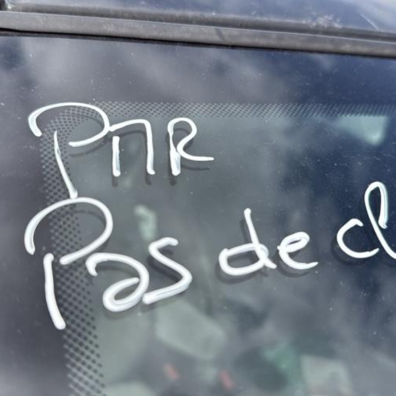 Arret de porte avant droit CITROEN C3 1 Photo n°19